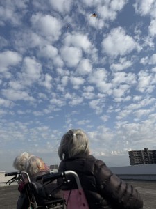 Photo_26-01-21-17-31-24.344